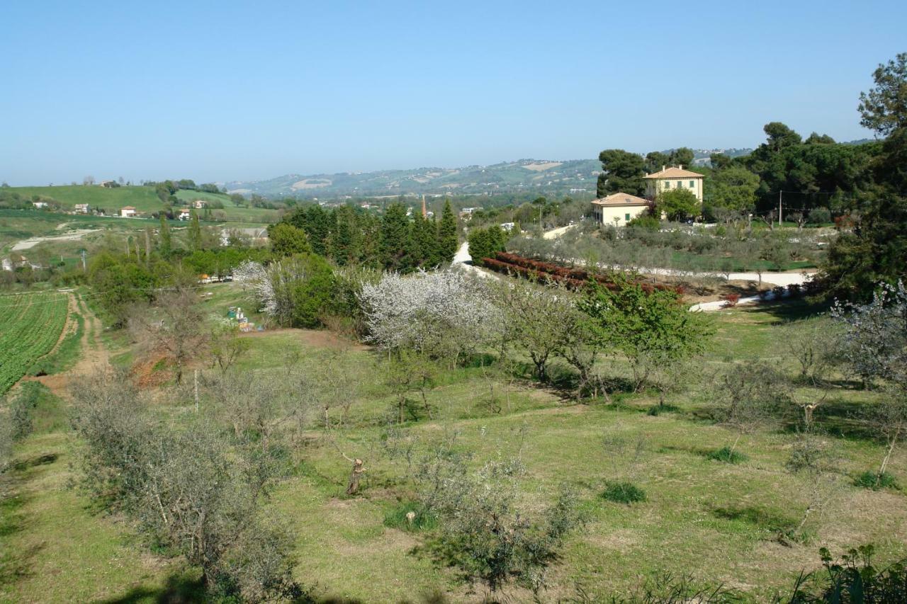 Agriturismo La Limonaia Villa Mondavio Exterior photo